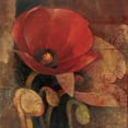 thumbnail image 2 of Hristova, Albena 20x20 Black Ornate Wood Framed with Double Matting Museum Art Print Titled - Poppy Reflection, 2 of 4