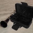 thumbnail image 1 of STRANDCHIC 1Pcs Clarinet Cloth Box for Musicians in Black with Portable Design, 1 of 8