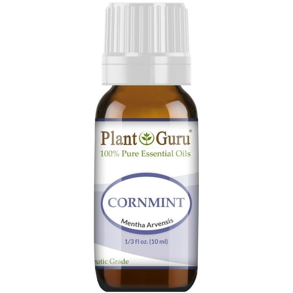 Cornmint Essential Oil 10 ml (Japanese Peppermint) 100% Pure Undiluted Therapeutic Grade.