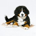 thumbnail image 2 of CafePress - Bernese Mountain Dog Puppy.Com - Baby Light Bodysuit, Size Newborn - 24 Months, 2 of 4