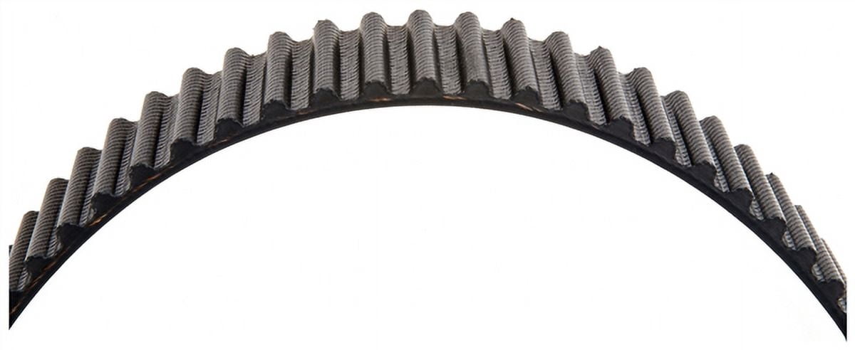 Timing Belt (PARITY)