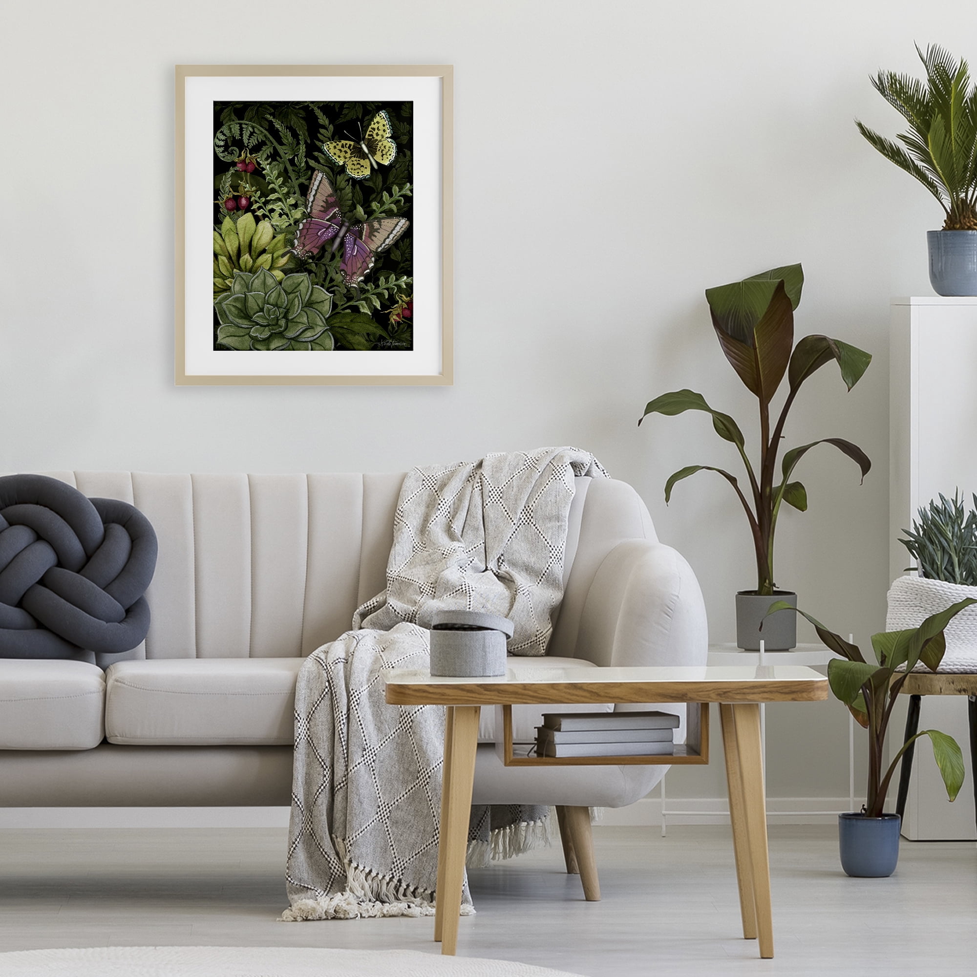 Stupell Industries Dark Succulents Midnight Garden Birch Framed Print Under Glass, design by Nicole Tamarin