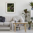 thumbnail image 3 of Stupell Industries Eclectic Dark Succulents Midnight Garden Birch Framed Print Under Glass, 17 x 21, by Nicole Tamarin, 3 of 8