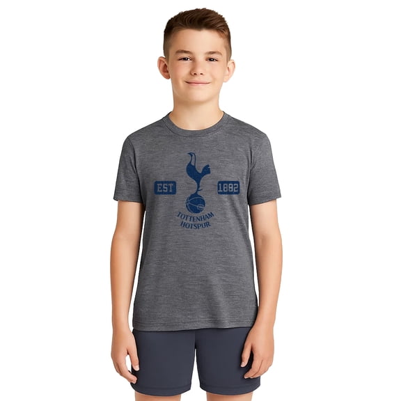 Icon Sports Official Tottenham Hotspur FC Cotton T-Shirt - Unisex Kids - TOT164CT Heather Grey YS