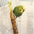 thumbnail image 5 of Vitakraft Crunch Sticks Parakeet Treat - Honey, Egg, and Apple- Pet Bird Treat Toy - Variety Pack, 5 of 5