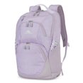 thumbnail image 1 of Mochila High Sierra Swoop Sg Orchid Heather 30L, 1 of 5