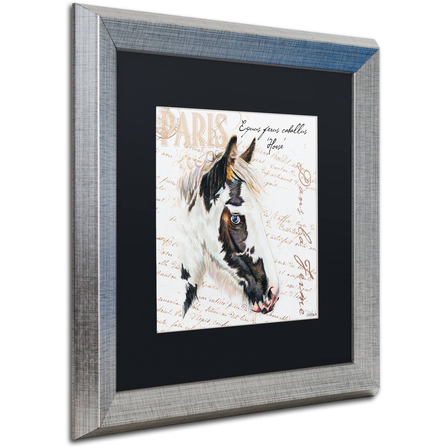 Trademark Fine Art "Dans la Ferme Rooster I" Canvas Art by Jennifer Redstreake Black Matte, Silver Frame
