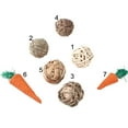 thumbnail image 7 of SPRING PARK 3Pack Guinea Pig Bunny Toys - Treats, Play Balls Rolling Chew Toys, Carrot Toys, for Rabbits, Chinchillas, Guinea Pigs, Hamsters, 7 of 7