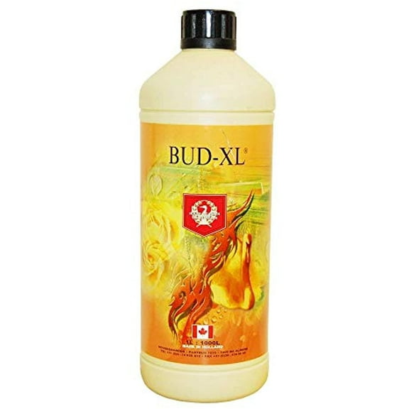 Bud XL (1 Litre)