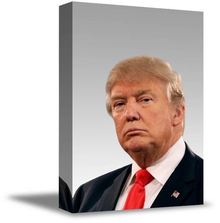 Trump President of USA HD Canvas print Painting Home decor Picture Room Wall art