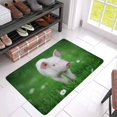 thumbnail image 3 of MKHERT Young Pig on a Spring Green Grass Cute Animal Doormat Rug Home Decor Floor Mat Bath Mat 30x18 inch, 3 of 3