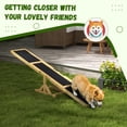 thumbnail image 5 of PawHut Wooden Dog Agility Seesaw for Training and Exercise, Platform Equipment Run Game Toy Weather Resistant Pet Supplies, Yellow, 5 of 9