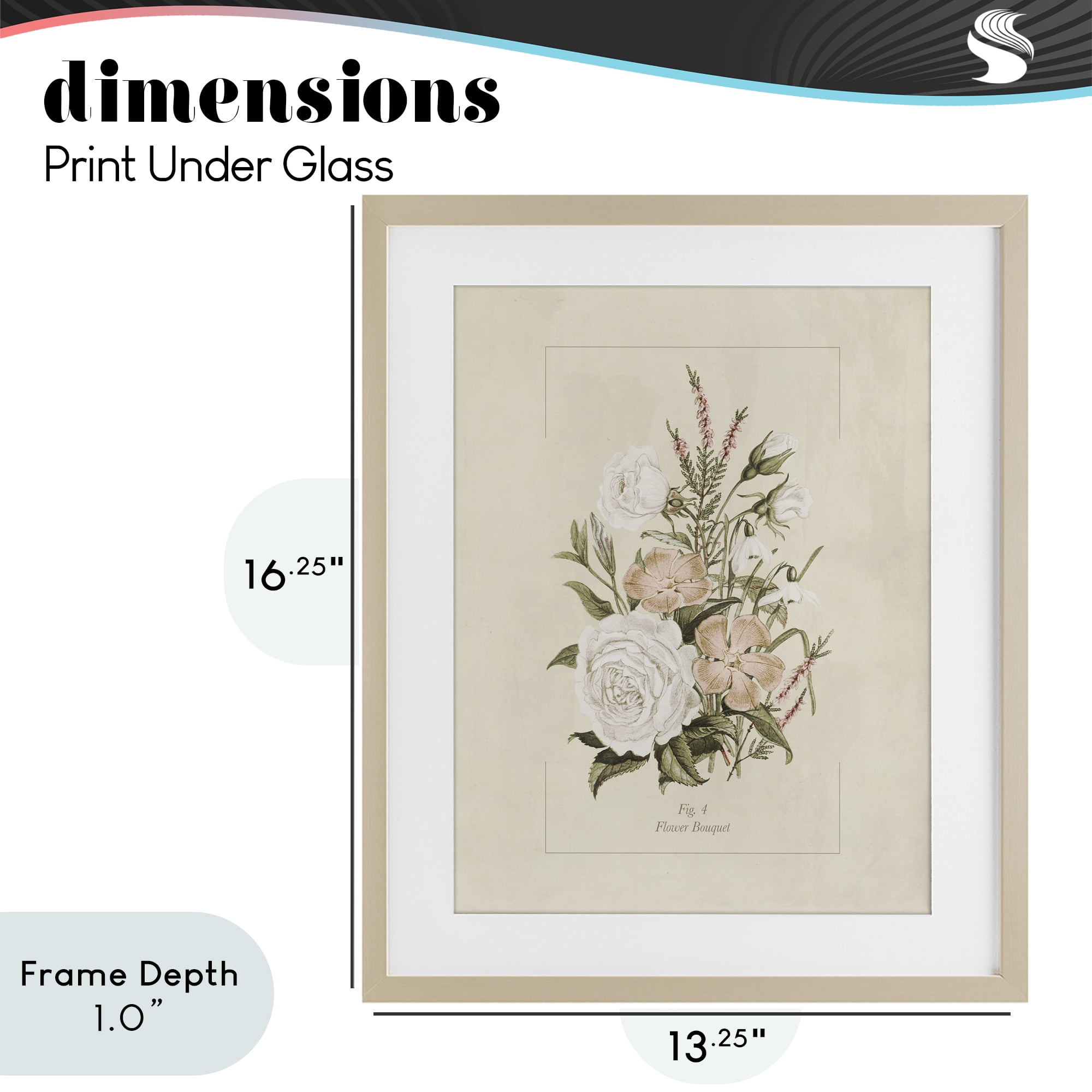 Stupell Industries Neutral & Soft Bouquet Study Birch Framed Print Under Glass, design by Dan Meneely