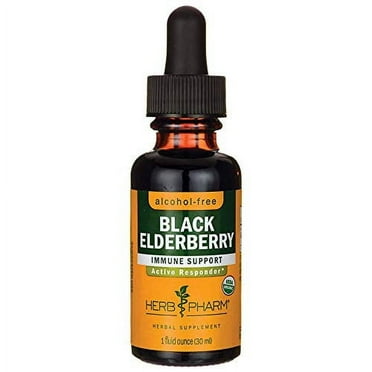HERB PHARM Organic Black Elderberry Glycerite, 1 FZ
