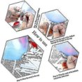 thumbnail image 2 of 100 Pcs Balloon Sticks,Plastic Thicken Durable Milk-White Sticks Holders With Cups For Party Decor, 2 of 5