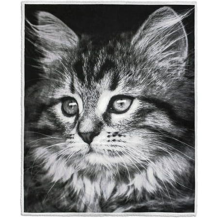 Velvet Plush with Sherpa Reversible 50u0022 x 60u0022 Photoreal Cat Throw Blanket, 1 Each