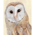 thumbnail image 3 of Warren, Annie 12x14 Black Modern Framed Museum Art Print Titled - Common Barn Owl I, 3 of 5