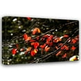 thumbnail image 1 of Alan Hausenflock 32x23 Gallery Wrapped Canvas Wall Art Titled - Autumn Leaves V, 1 of 4