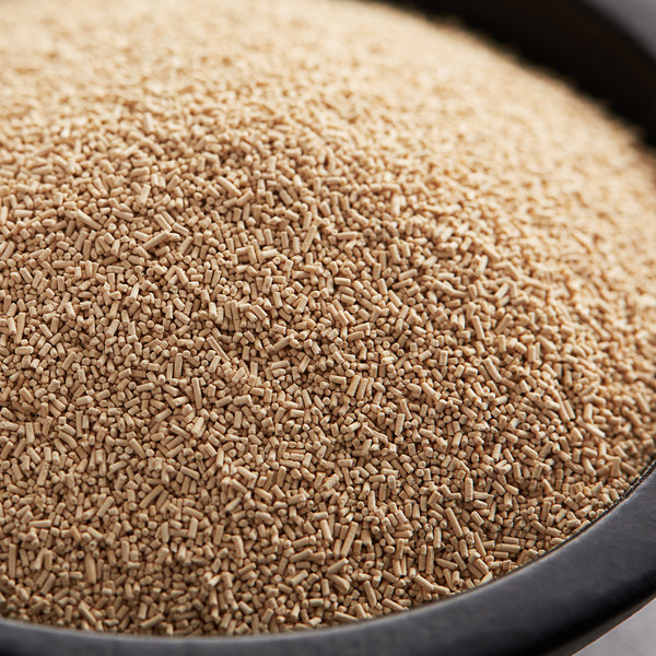 Lesaffre SAFInstant 22 lb. Red Dry Yeast Walmart Canada