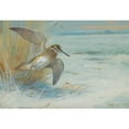 thumbnail image 3 of Archibald Thorburn 18x14 Black Modern Framed Museum Art Print Titled - Jack Snipe Rising (1931), 3 of 5