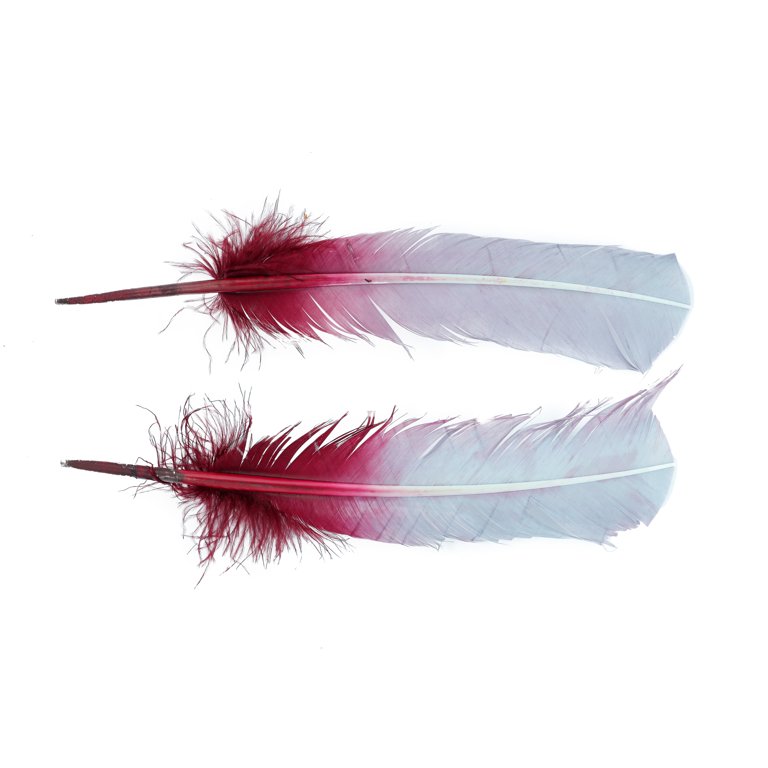 Camel Dyed Turkey Feathers, Pkg of 4, Camel Feathers, Large Feathers,  Colored Feathers 