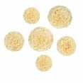 Efavormart 6 Multi Size Pack | Carnation Cream/Ivory 3D Wall Flowers ...