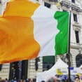 thumbnail image 5 of Ireland Irish Shamrock Flag 3x5 Outdoor, Double Sided Embroidered Shamrock, 210D Nylon Saint Patrick's Day Clover Flags, 5 of 7
