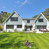 Toyvian Pigeon Harness and Leash Set for Pet Owners 1 Set