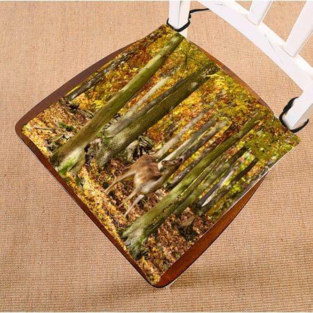 

PHFZK Autumn Nature Chair Pad Deer in the Forest Seat Cushion Chair Cushion Floor Cushion Two Sides Size 16x16 inches