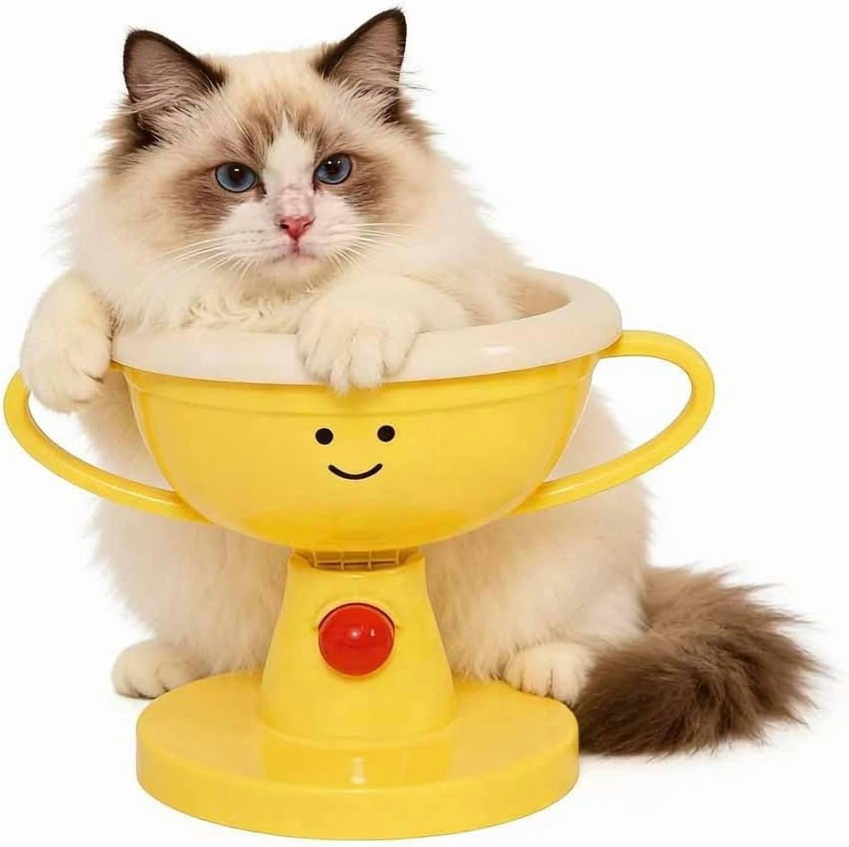 Adjustable Elevated Cat Bowl, 30° Tilted Raised Pet Feeder for Neck Protection, Anti-Vomiting Food & Water Dish for Cats & Small Dogs