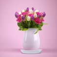 thumbnail image 4 of Thickened Flowerpot Plastic Tray Flowerpot Base Circular Water Tray Durable Mobile Household Base Bottom Pad Tray, 4 of 5