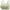 Green, variant on Summer Savings Clearance 2025! Loopsun Plus Size Bras for Women, Women鈥榮 Plus Size Comfortable Breathable Underwire Bras Lace Push-Up Underwear Beige 36