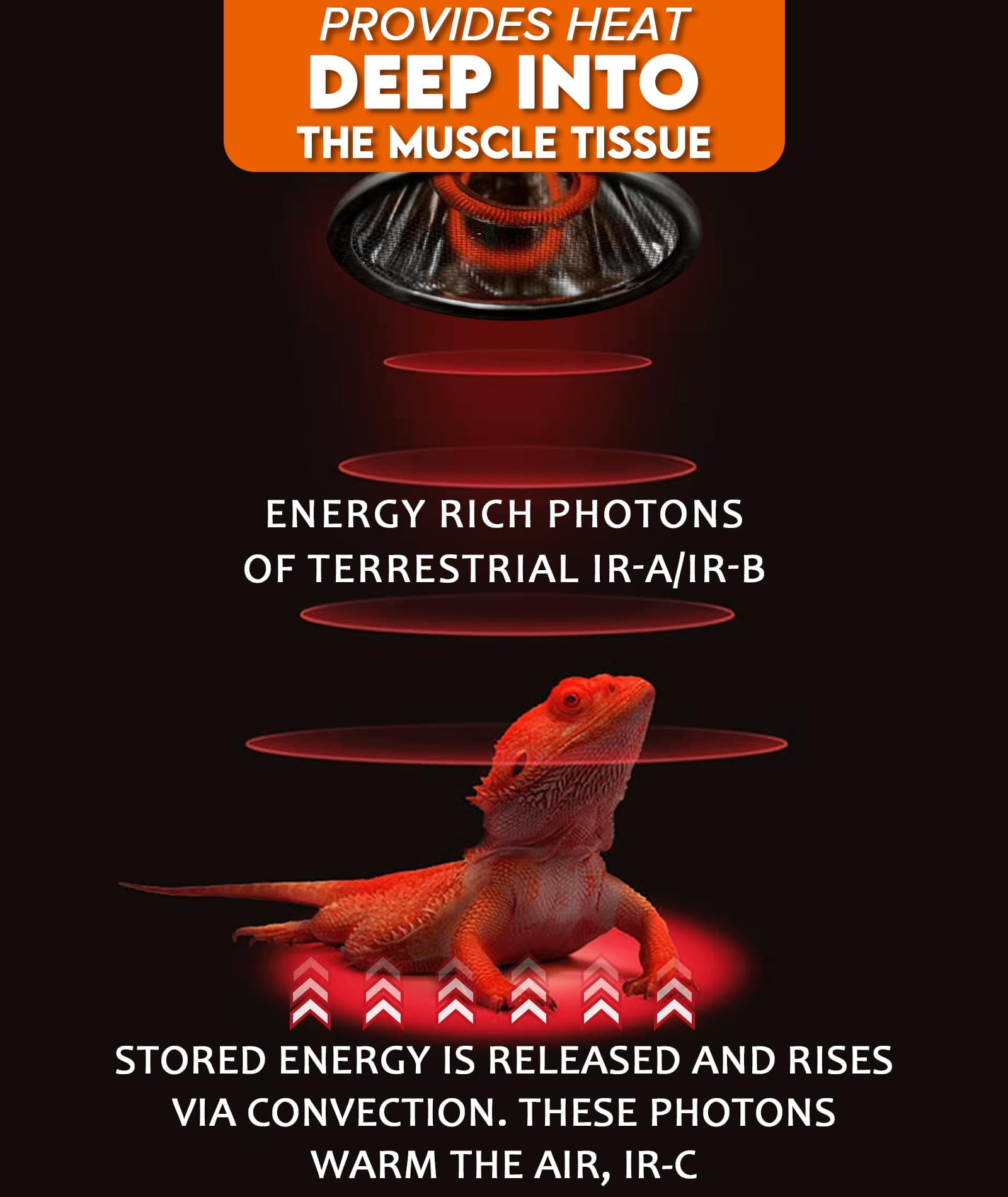 50W Deep Heat Projector Lamp for Reptiles - Infrared A & B Bulb with Reflector - Basking Heat Light for Bearded Dragons, Turtles, Snakes, Lizards & Amphibians