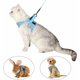 thumbnail image 5 of Katzengeschirr und Leine, ultraleichtes Kätzchenhalsband, weiche und bequeme Laufjacke für Katzen, Laufen, auslaufsicher, geeignet für Kaninchenwelpen (Blau, S) TUNC Sencillez, 5 of 5