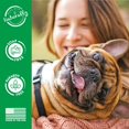 thumbnail image 4 of Perfume en spray TropicLean Green Apple para perros 240 ml, 4 of 8