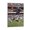 Frame-style, variant on Devin Hester Canvas Poster Canvas Art Poster and Wall Art Picture Print Modern Family bedroom Decor Posters 24x36inch(60x90cm)