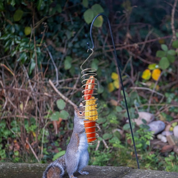 BESTYASH 2Pcs Plated Silver Stainless Steel Corn Cob Holders and Squirrel Feeding Supplies for Garden