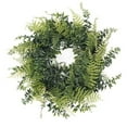 thumbnail image 1 of Vickerman FQ171918 Vickerman 18" Artificial Green Buckler Fern and Grass Wreath, 1 of 2