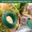 L, variant on Heavy Duty Flexible Support Wrap, Thick Garden Twist Tie For Climbing Vines, Weatherproof Tomato Canopy Training Wire, Green, Size L, 1 Roll