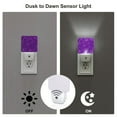 thumbnail image 3 of Goofa Purple Glitter Night Light, Plug-in, Dusk to Dawn Sensor, Warm White, Ambient Lighting, Ideal Kids Adults Nightlight-US, 3 of 9