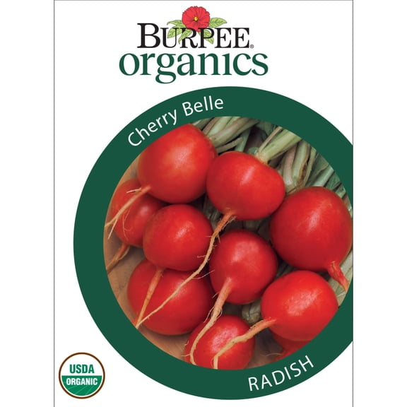 Burpee Organics Cherry Belle Radish Seeds -Heirloom Organic Vegetable Gardening Seeds, 1-Pack