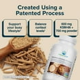 thumbnail image 3 of Nature's Lab Ashwagandha Extract - KSM 66 5% Withanolides - 120 Ct (60 Day Supply), 3 of 7