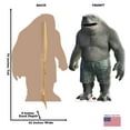 thumbnail image 4 of Advanced Graphics 3765 70 x 45 Po. King Shark Découpe en Carton, WB - The Suicide Squad 2, 4 of 12