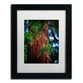 thumbnail image 2 of Trademark Fine Art "Giant Sequoia" Canvas Art by Philippe Sainte-Laudy, White Matte, Wood Frame, 2 of 4
