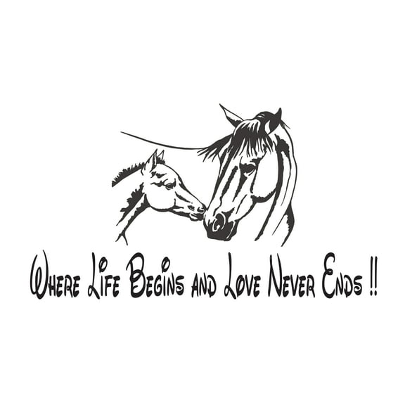 Where Life Begins And Love Never Ends-Family Quotes Wall Decal - Vinyl Stickers for Home Decor Room Decor-Easy to Apply and Peel-Size : 30" x 18".