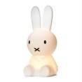 thumbnail image 1 of 1 pieza de luz de noche para niños, lindo conejo, lámpara de noche recargable por USB, luz de noche para bebés, lámpara de noche de silicona TUNC Sencillez, 1 of 3