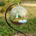 thumbnail image 4 of 2Pcs Mini Transparent Glass Vase Hanging Micro Landscape Ecological Bottle Handicraft Decoration (not Include Plants), 4 of 7