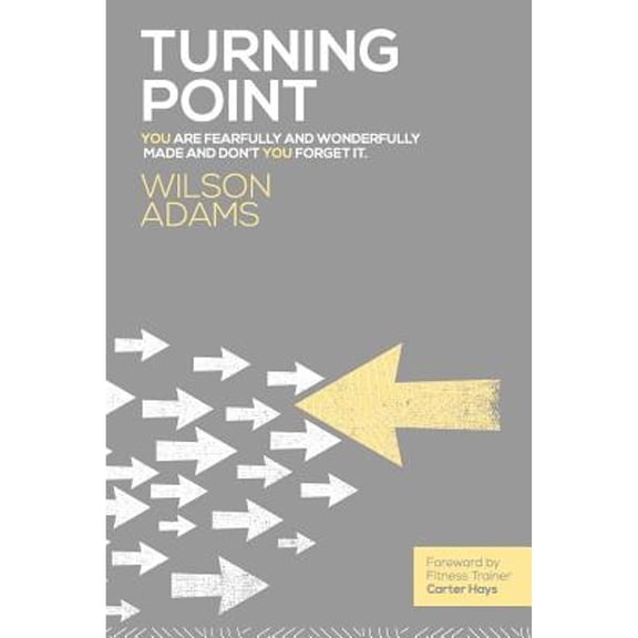 Pre-Owned Turning Point (Paperback) 0985493895 9780985493899