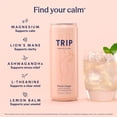 thumbnail image 3 of TRIP Sparkling Magnesium Drink, Peach Ginger Flavor, 12 oz, 12 Pack, Adaptogen Drink With Ashwagandha and Lions Mane, 3 of 9