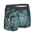 thumbnail image 3 of Balery Blue Color Cactus Men's Boxer Briefs, Soft and Breathable Cotton Underwear with nylon Waistband-X-Large, 3 of 9